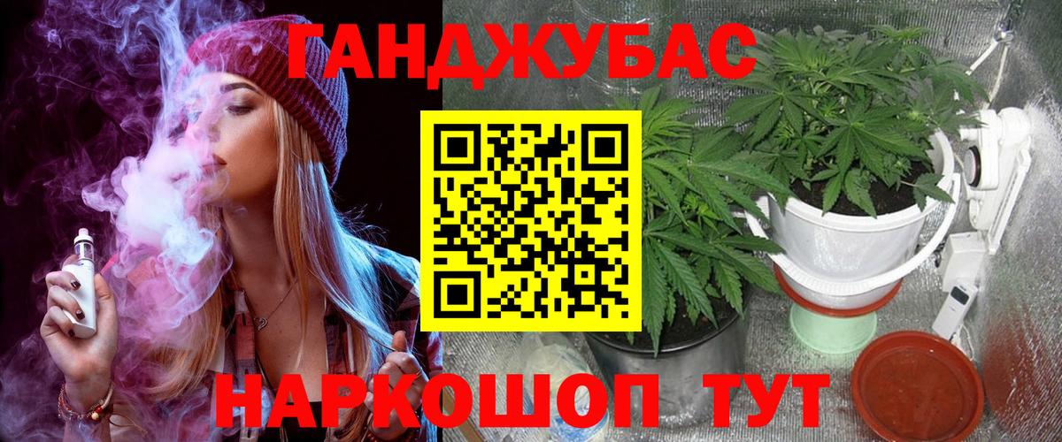 Марихуана THC 21%  Вход с VPN  Марихуана White Widow  Бошки марихуана гибрид  Бошки марихуана план  Соль-Илецк 
